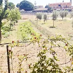 Villa In Stumio - Kalabrien 51311 Ovile la Marinella