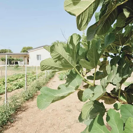 In Stumio - Kalabrien 51311 Ovile la Marinella