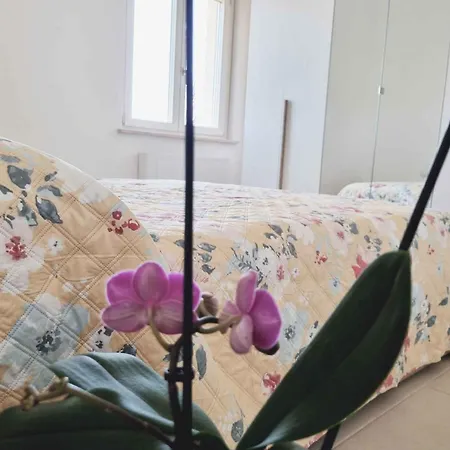 In Stumio - Kalabrien 51311