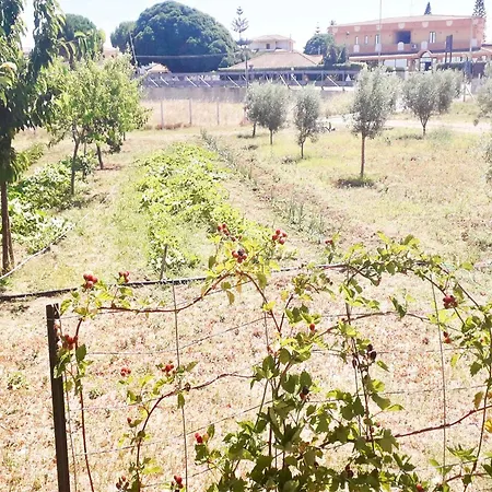 Willa In Stumio - Kalabrien 51311 Ovile la Marinella